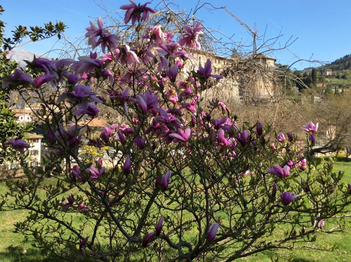 Vista Castello Bed & Breakfast Rovereto  Exterior foto
